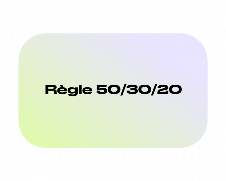 Simulateur 50/30/20